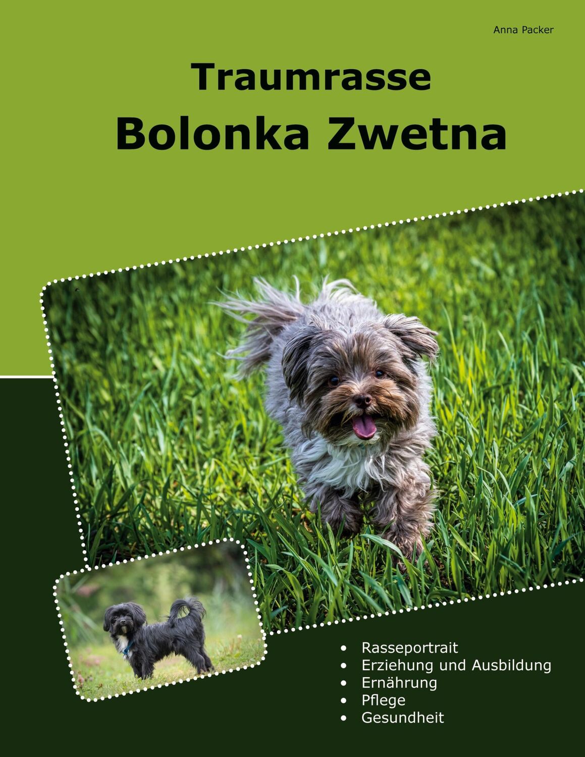 Cover: 9783769311785 | Traumrasse Bolonka Zwetna | Anna Packer | Taschenbuch | Paperback