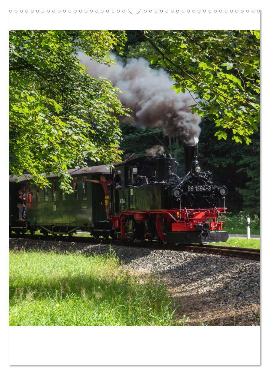 Bild: 9783383833250 | Faszination Museumsbahn (Wandkalender 2025 DIN A2 hoch), CALVENDO...