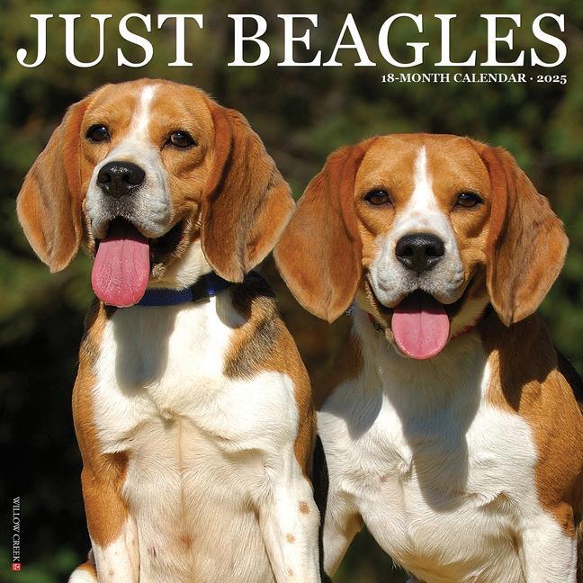 Cover: 9781549241666 | Just Beagles 2025 12 X 12 Wall Calendar | Willow Creek Press | 2025