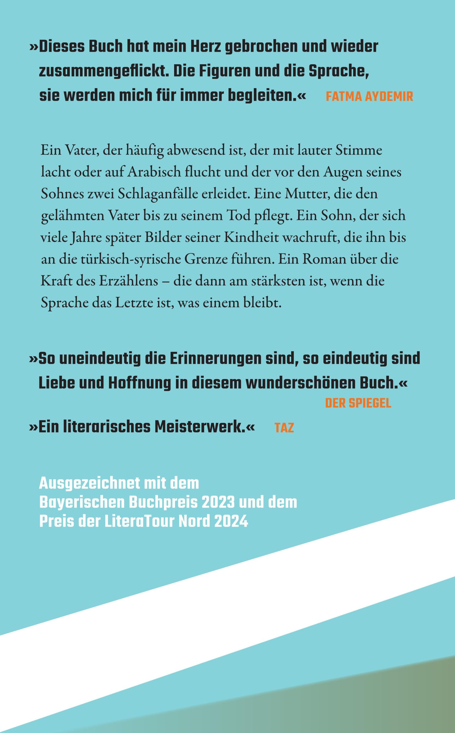 Rückseite: 9783518474556 | Vaters Meer | Roman Ausgezeichnet mit dem Bayerischen Buchpreis | Utlu