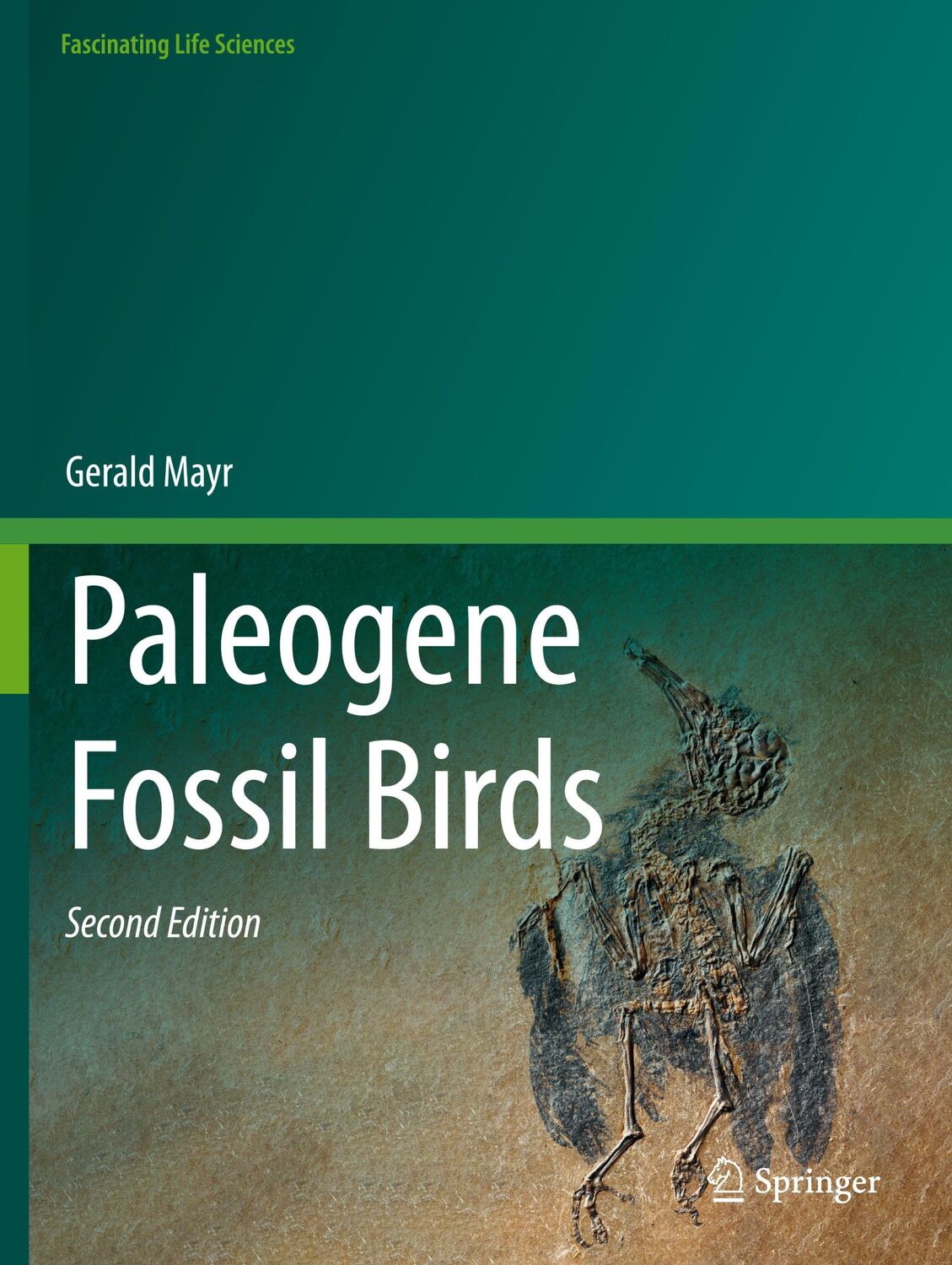 Cover: 9783030876470 | Paleogene Fossil Birds | Gerald Mayr | Taschenbuch | Paperback | xii