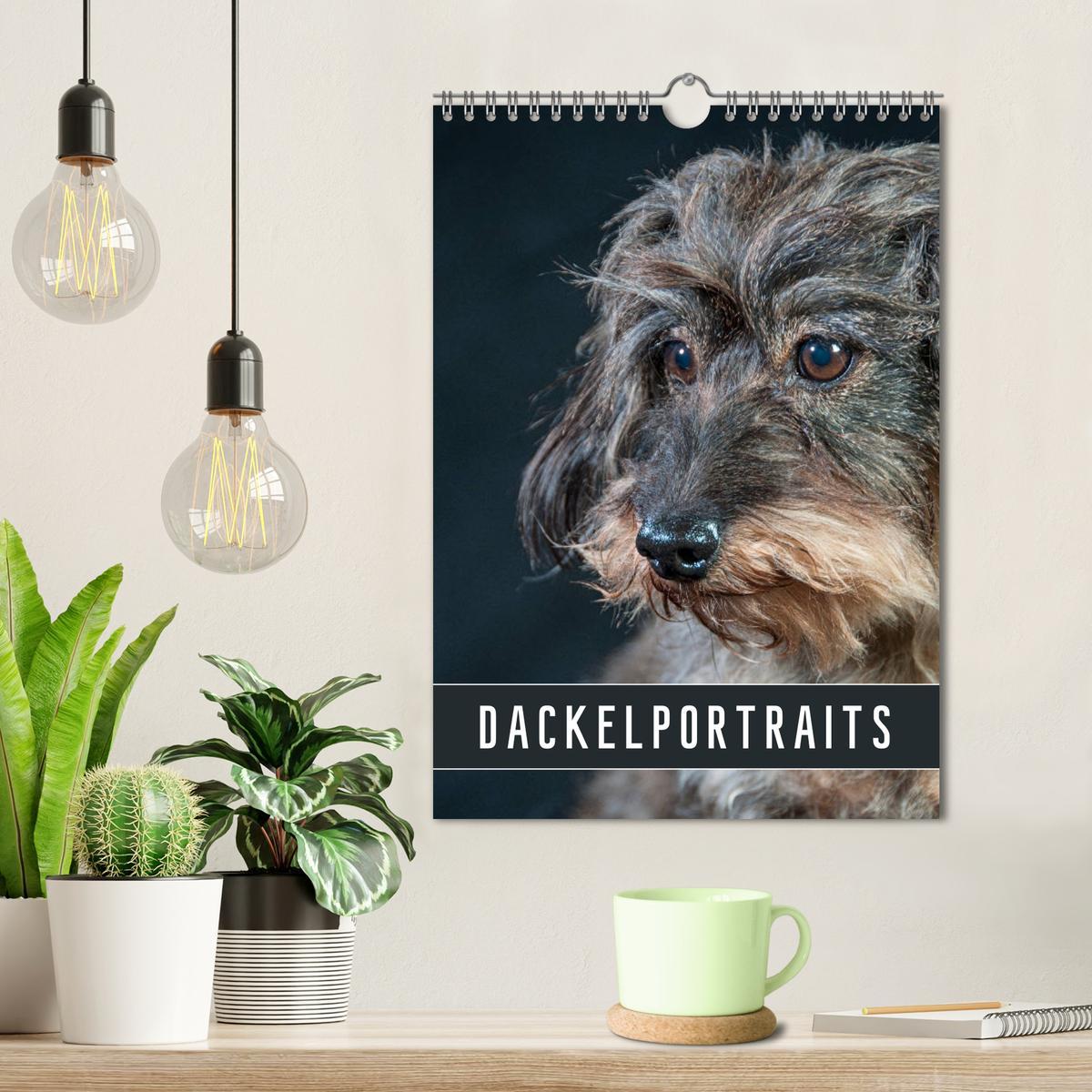 Bild: 9783435974030 | Dackelportraits (Wandkalender 2025 DIN A4 hoch), CALVENDO...