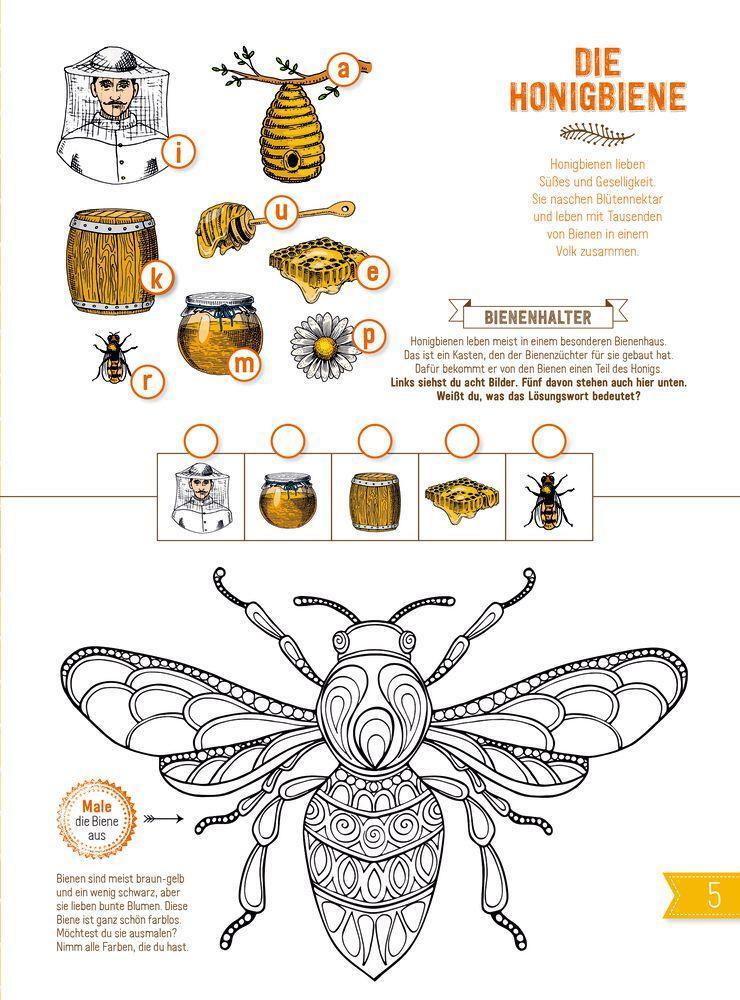 Bild: 9783959390958 | INSEKTEN &amp; Co. | Roots | Buch | 64 S. | Deutsch | 2021