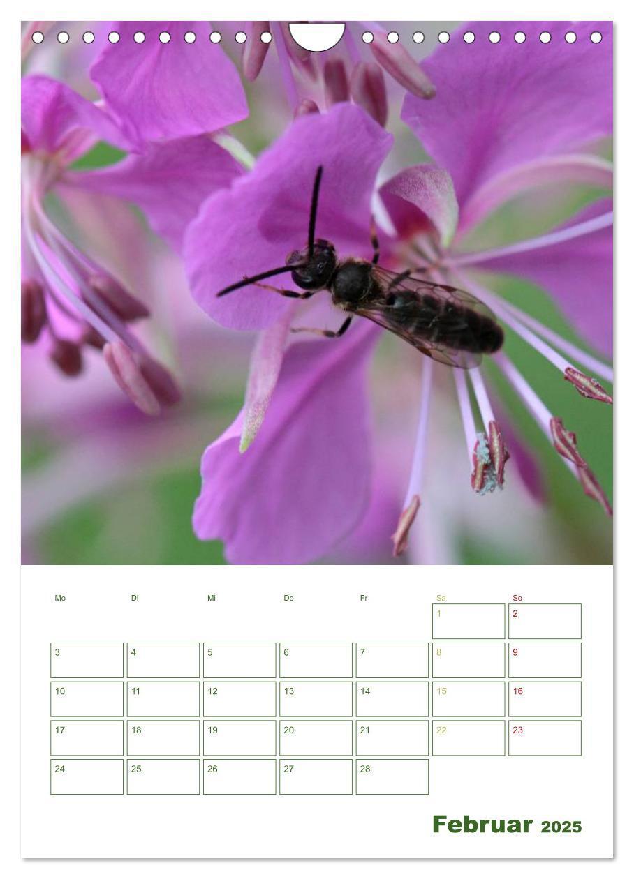 Bild: 9783457030813 | Bienen-Terminplaner 2025 (Wandkalender 2025 DIN A4 hoch), CALVENDO...