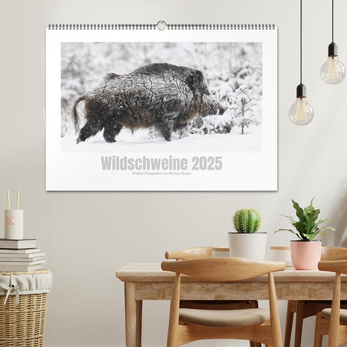 Bild: 9783383947681 | Wildschweine ¿ Wildlife Fotografien (Wandkalender 2025 DIN A2...