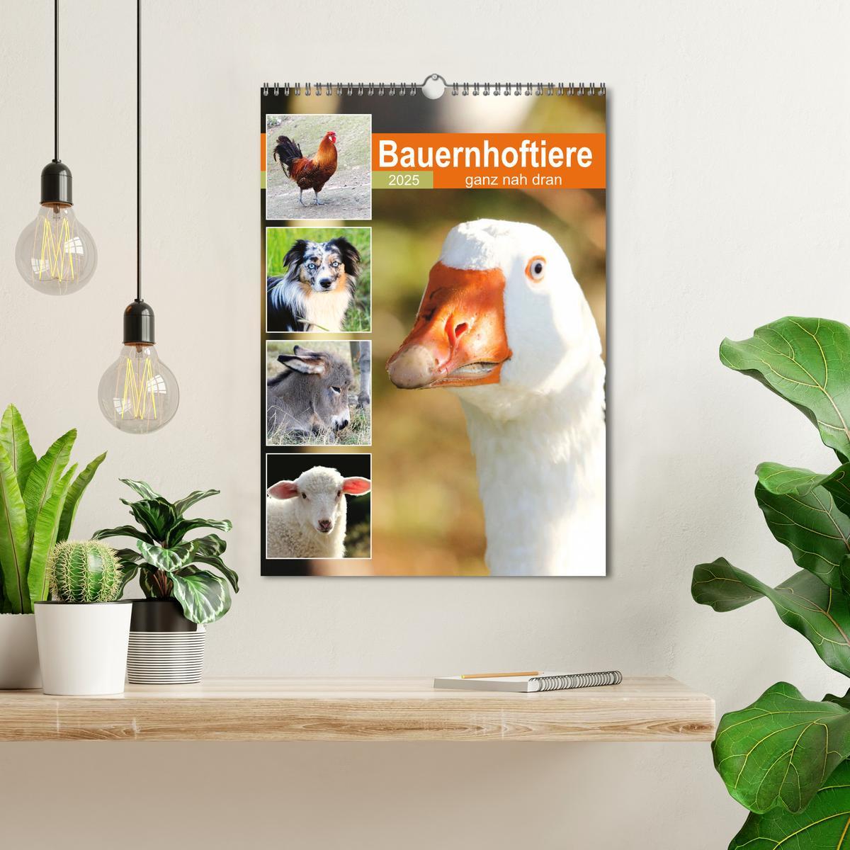 Bild: 9783435927937 | Bauernhoftiere, ganz nah dran (Wandkalender 2025 DIN A3 hoch),...