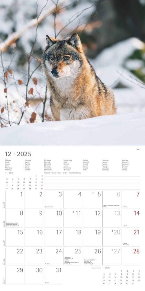 Bild: 4251732340803 | Alpha Edition - Wald &amp; Flur 2025 Broschürenkalender, 30x30cm,...