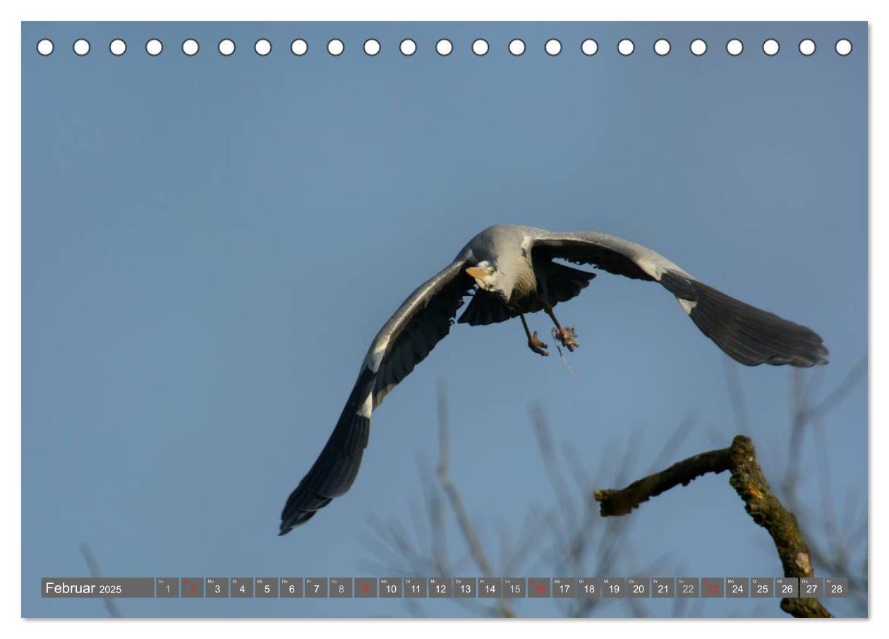 Bild: 9783435824953 | INNE BOTANIK - Vögel im Ruhrpott (Tischkalender 2025 DIN A5 quer),...