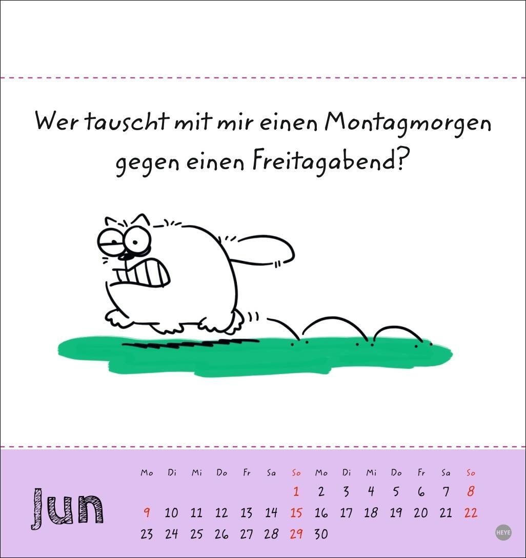 Bild: 9783756406951 | Catzz Postkartenkalender 2025 | Kalender | Postkartenkalender Heye