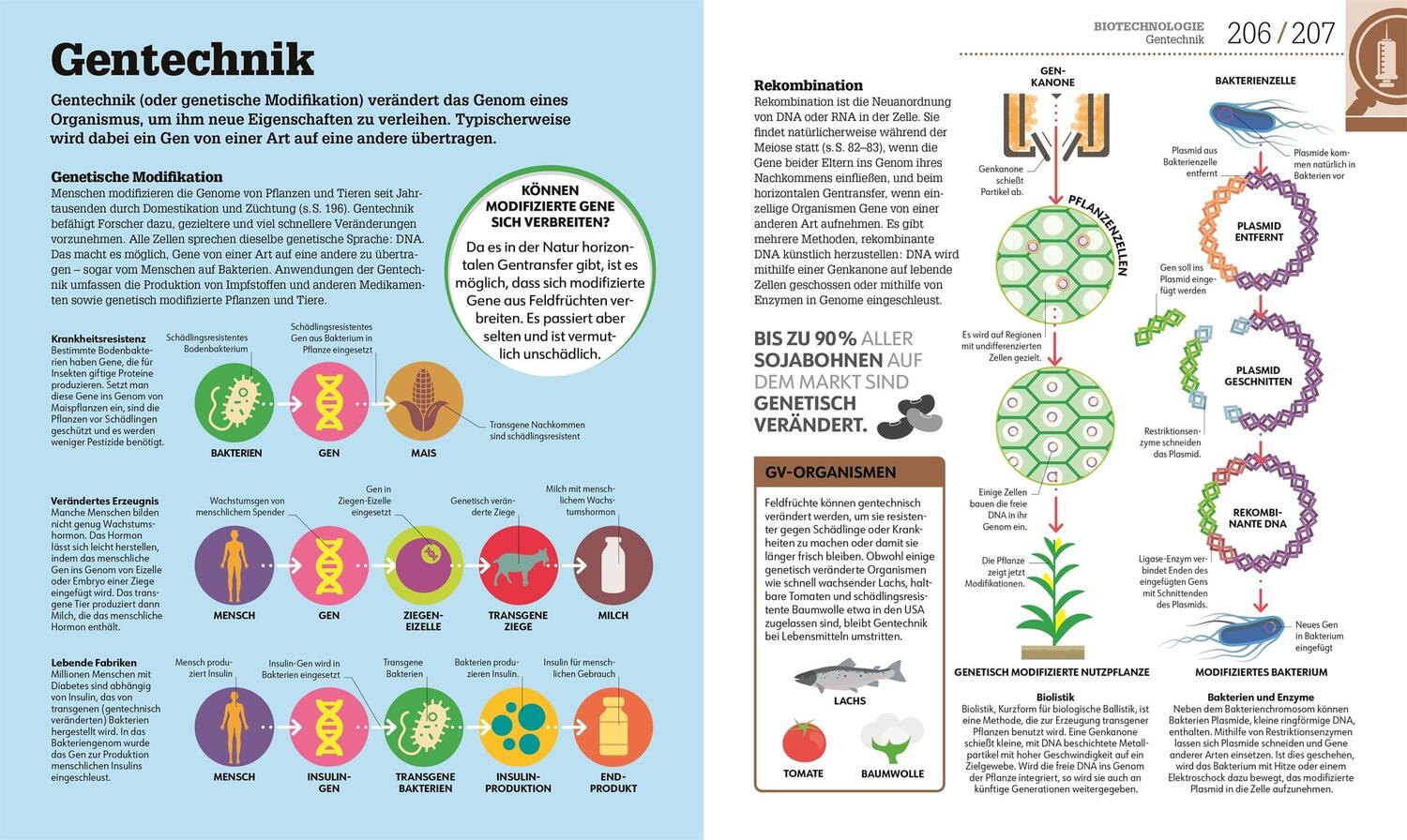 Bild: 9783831048205 | #dkinfografik. Biologie einfach erklärt | Jack Challoner (u. a.)