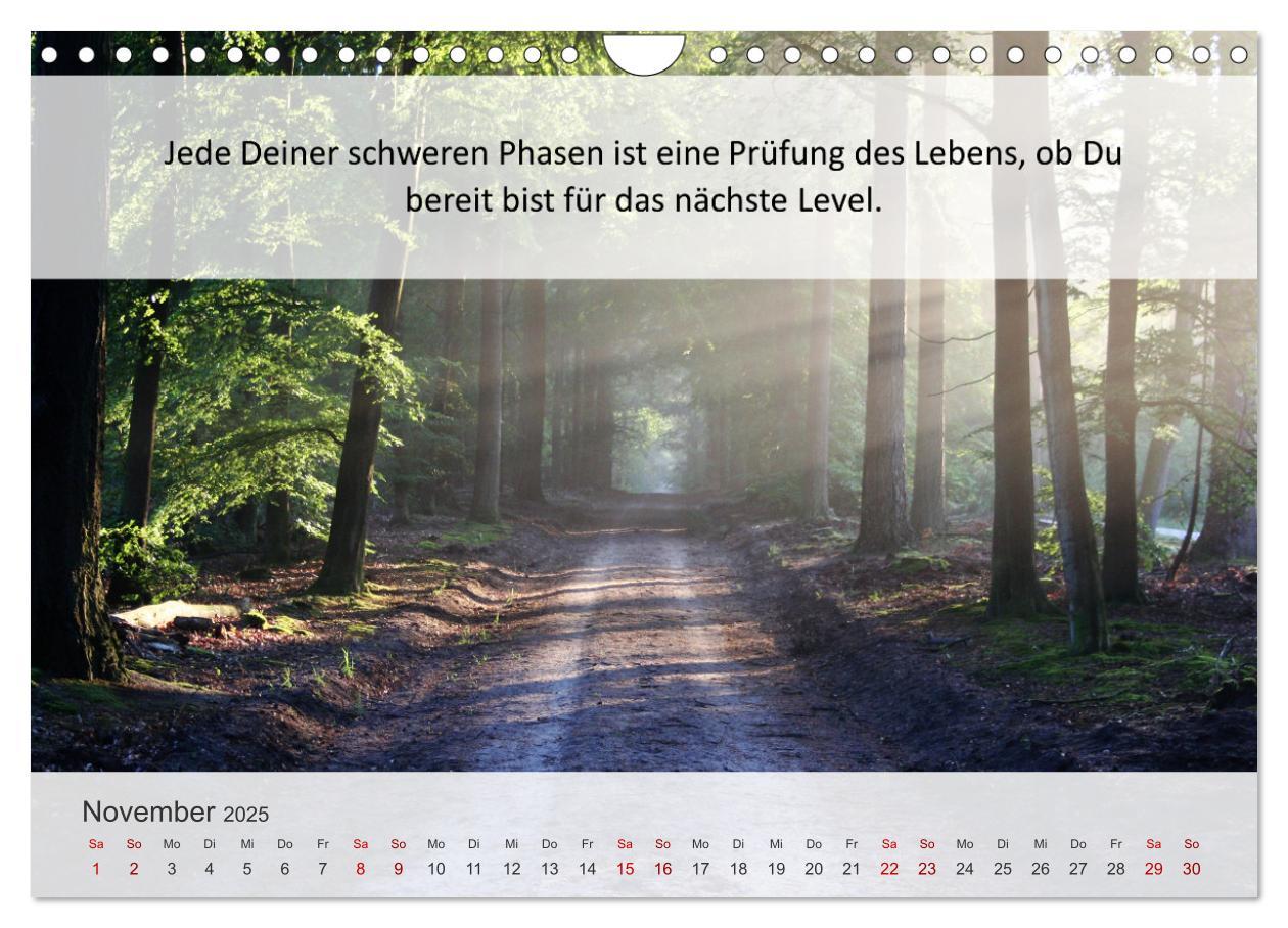 Bild: 9783435020232 | Motivationssprüche Erfolgsweg (Wandkalender 2025 DIN A4 quer),...