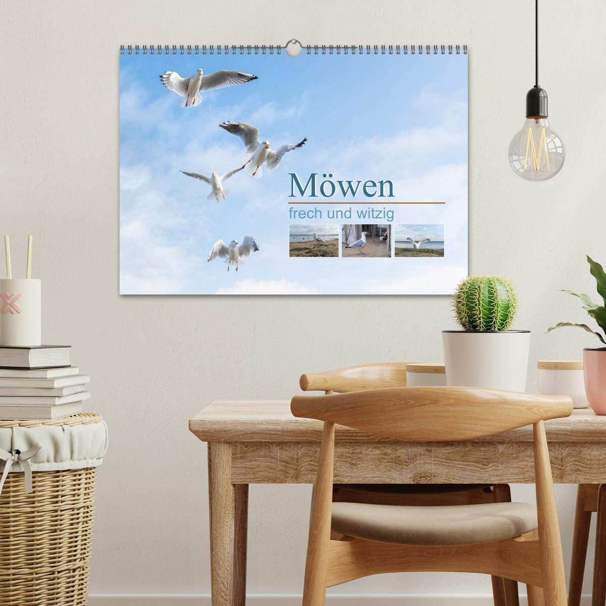 Bild: 9783435177493 | Möwen frech und witzig (Wandkalender 2025 DIN A3 quer), CALVENDO...