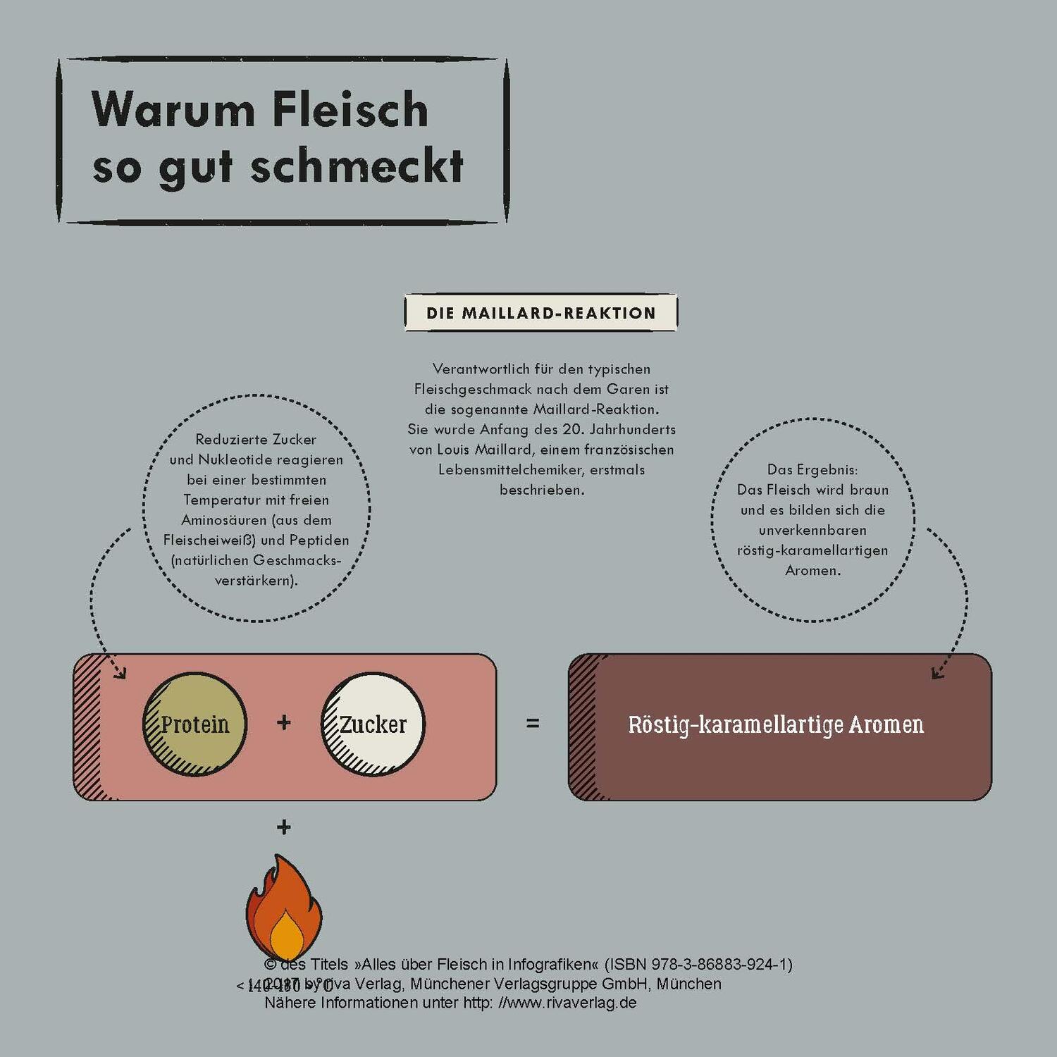 Bild: 9783868839241 | Alles über Fleisch in Infografiken | Daniel Wiechmann | Buch | 96 S.