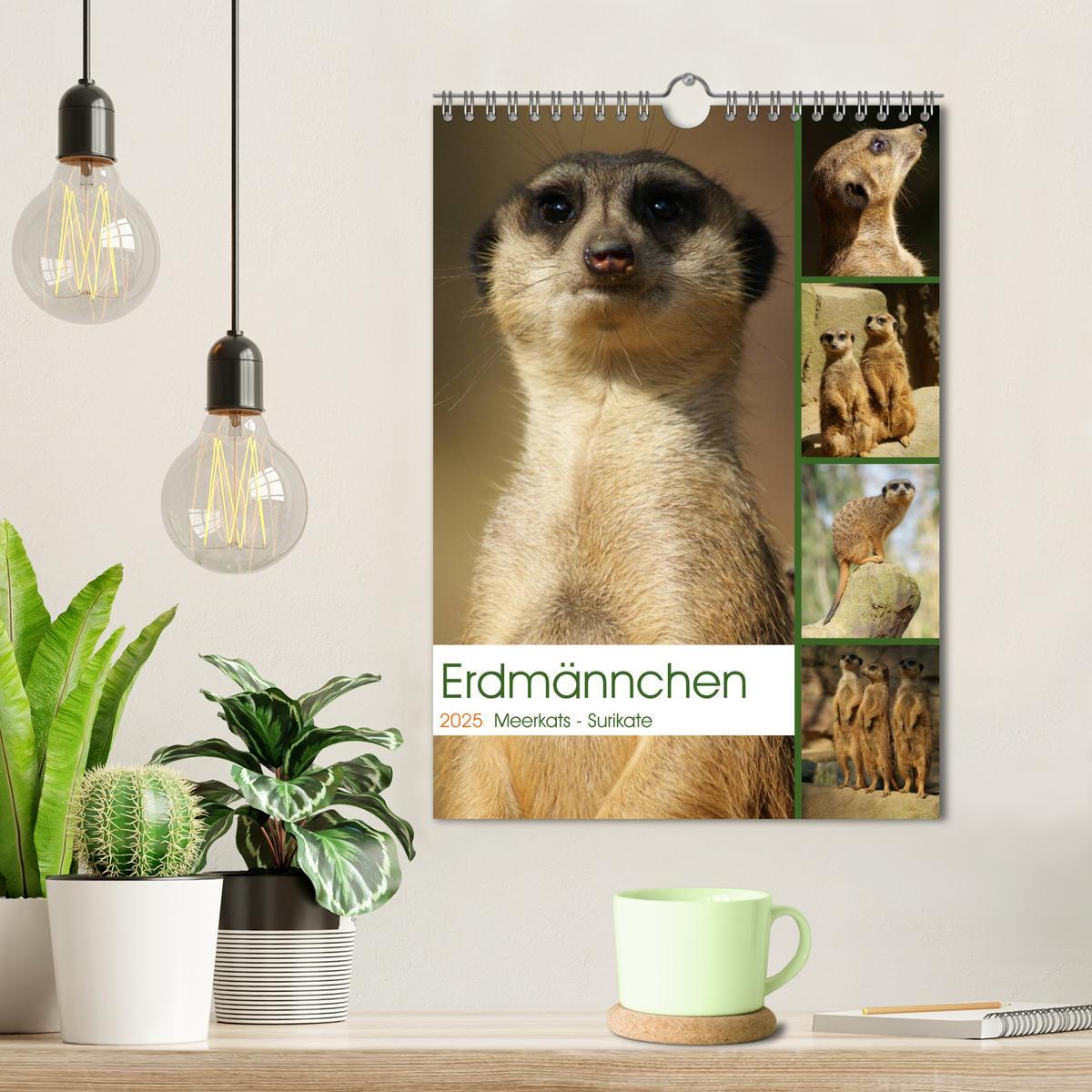 Bild: 9783457090060 | Erdmännchen-Meerkats-Surikate (Wandkalender 2025 DIN A4 hoch),...