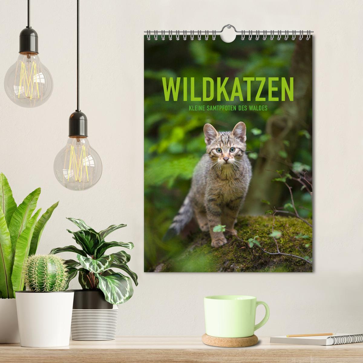 Bild: 9783435954513 | Wildkatzen - Kleine Samtpfoten des Waldes (Wandkalender 2025 DIN A4...