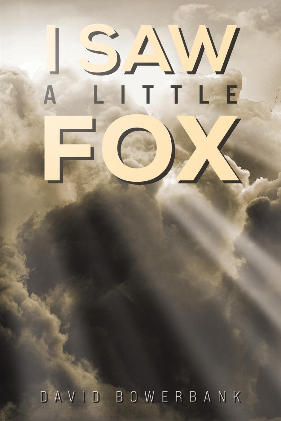 Cover: 9781035851614 | I Saw a Little Fox | David Bowerbank | Taschenbuch | Paperback | 2024