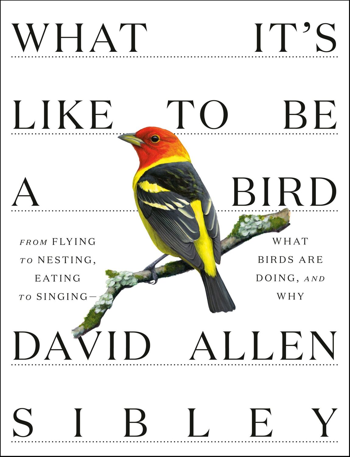 Cover: 9780307957894 | What It's Like to Be a Bird | David Allen Sibley | Buch | Englisch