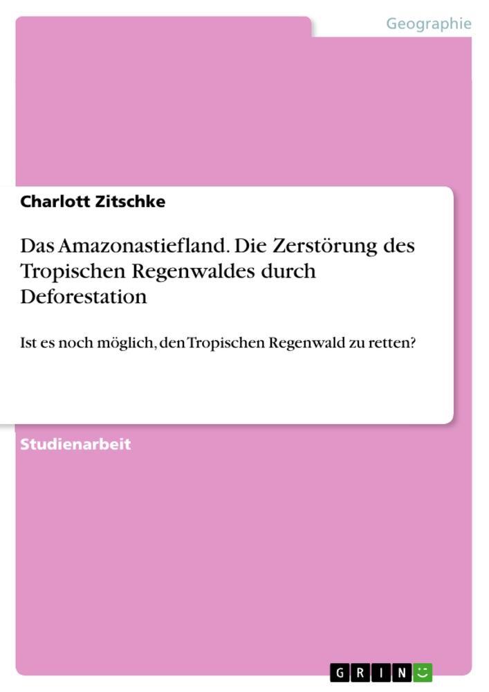 Cover: 9783668283251 | Das Amazonastiefland. Die Zerstörung des Tropischen Regenwaldes...