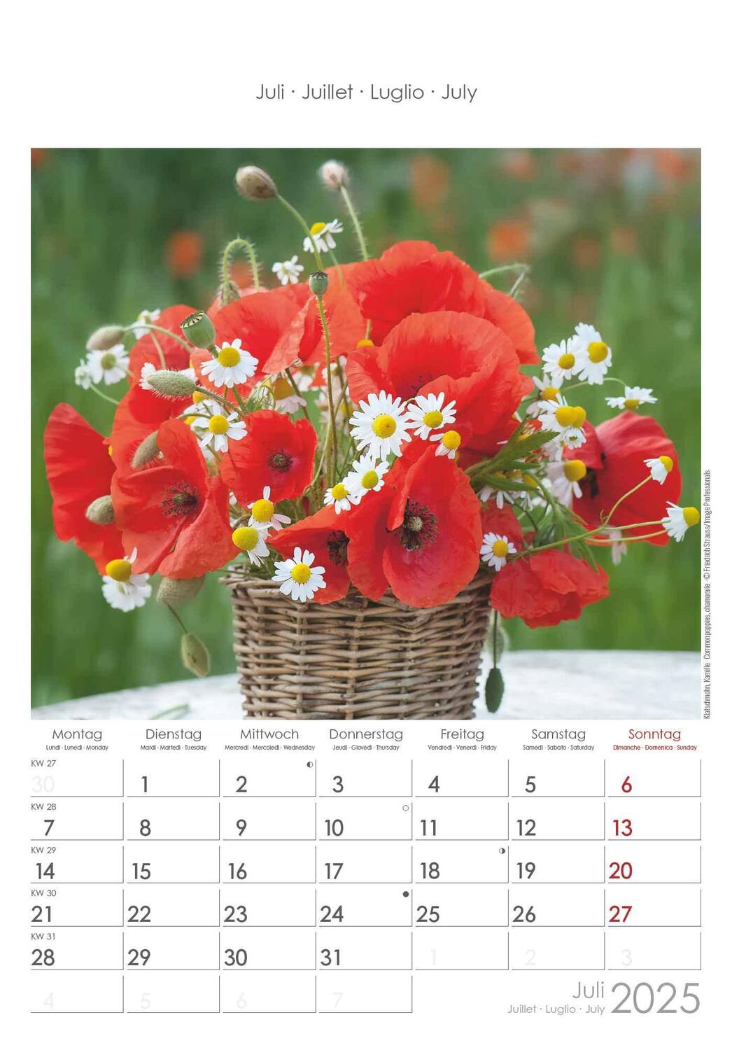 Bild: 4251732341008 | Blumen 2025 - Bildkalender 23,7x34 cm - Kalender mit Platz für...