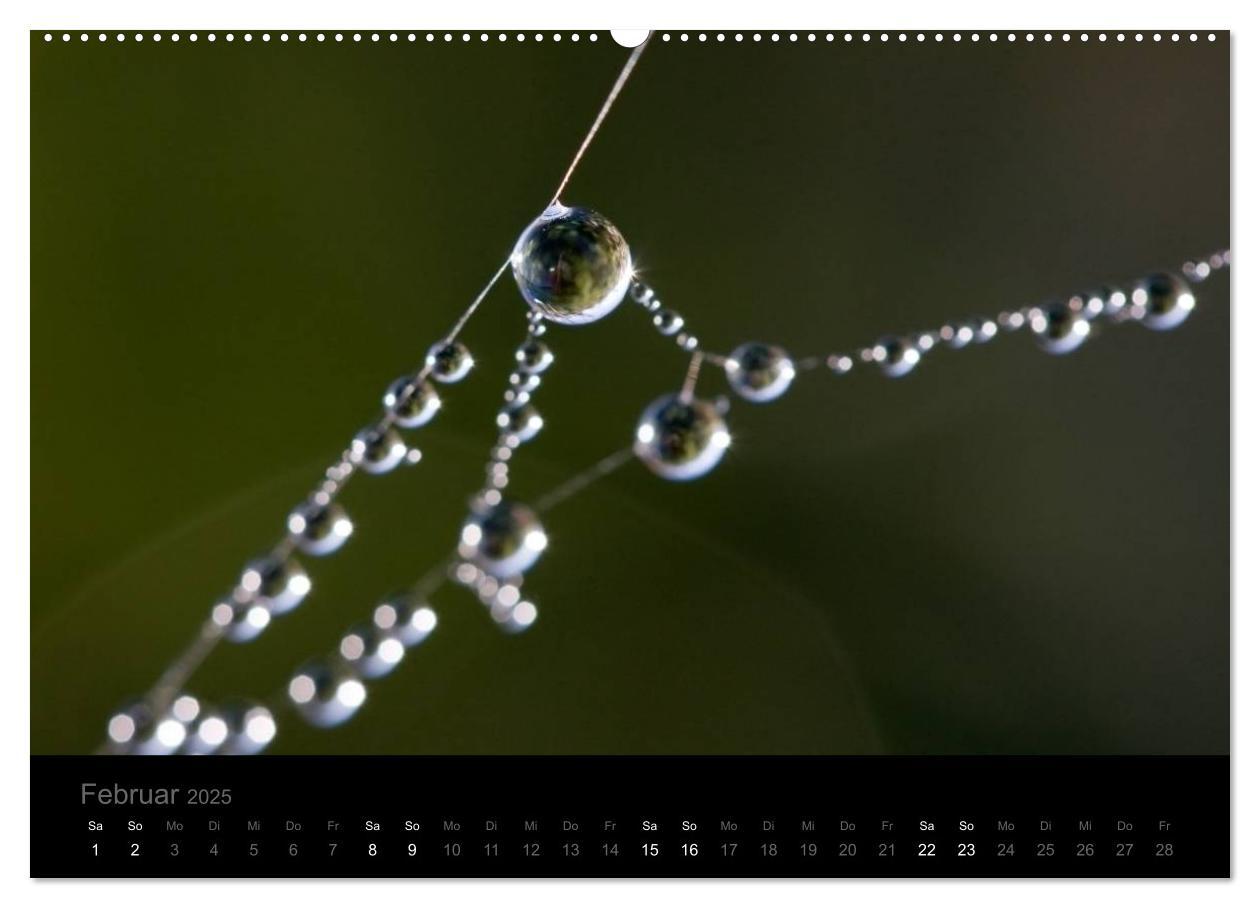 Bild: 9783435802128 | Natur im Detail (Wandkalender 2025 DIN A2 quer), CALVENDO...