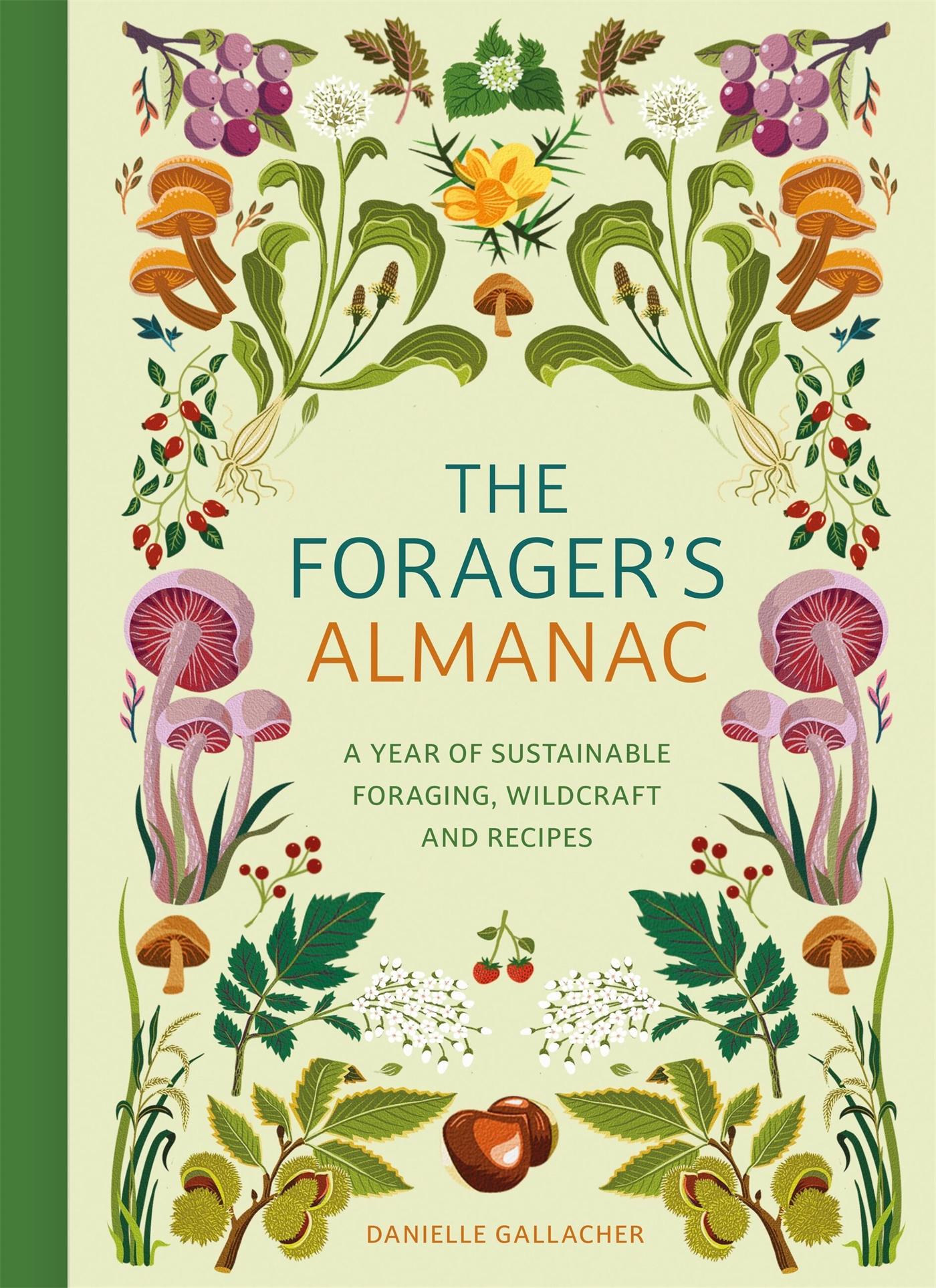 Cover: 9781529437126 | The Forager's Almanac | Danni Gallacher | Buch | Englisch | 2025