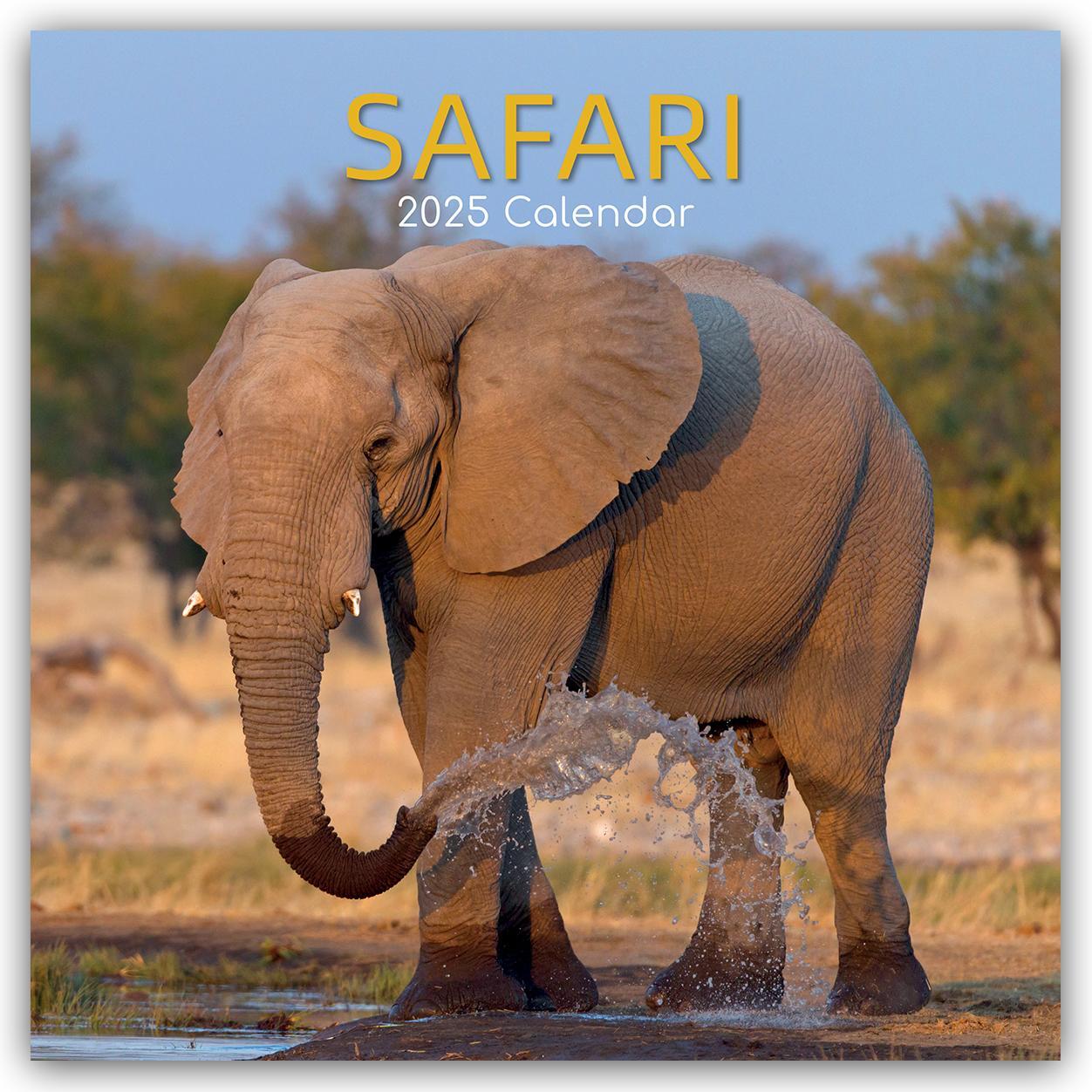 Cover: 9781835361894 | Safari 2025 - 16-Monatskalender | The Gifted Stationery Co. Ltd | 2025