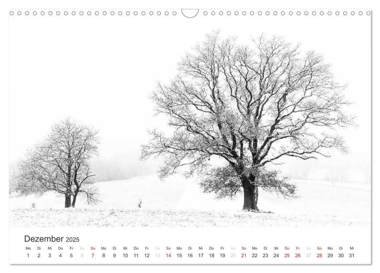 Bild: 9783435660469 | Bäume - Naturschönheiten in schwarz-weiß (Wandkalender 2025 DIN A3...