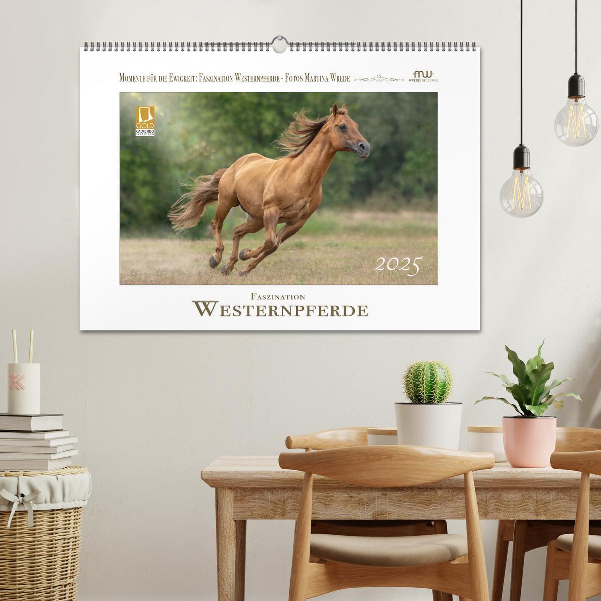 Bild: 9783435086788 | Faszination Westernpferde (Wandkalender 2025 DIN A2 quer), CALVENDO...