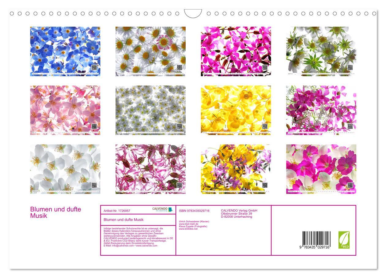 Bild: 9783435029716 | Blumen und dufte Musik (Wandkalender 2025 DIN A3 quer), CALVENDO...