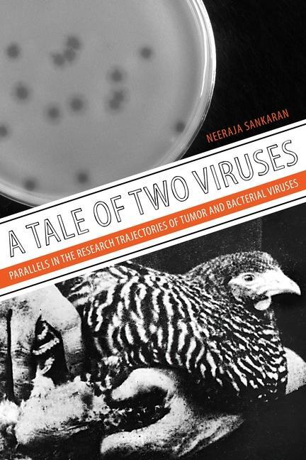 Cover: 9780822946304 | A Tale of Two Viruses | Neeraja Sankaran | Buch | Gebunden | Englisch