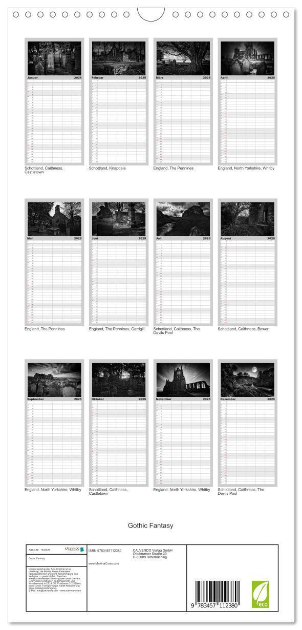 Bild: 9783457112380 | Familienplaner 2025 - Gothic Fantasy mit 5 Spalten (Wandkalender,...