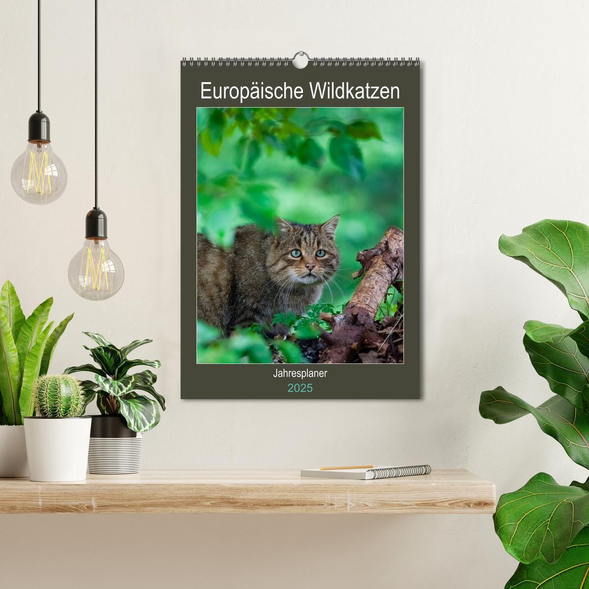 Bild: 9783435982882 | Europäische Wildkatzen - Jahresplaner (Wandkalender 2025 DIN A3...