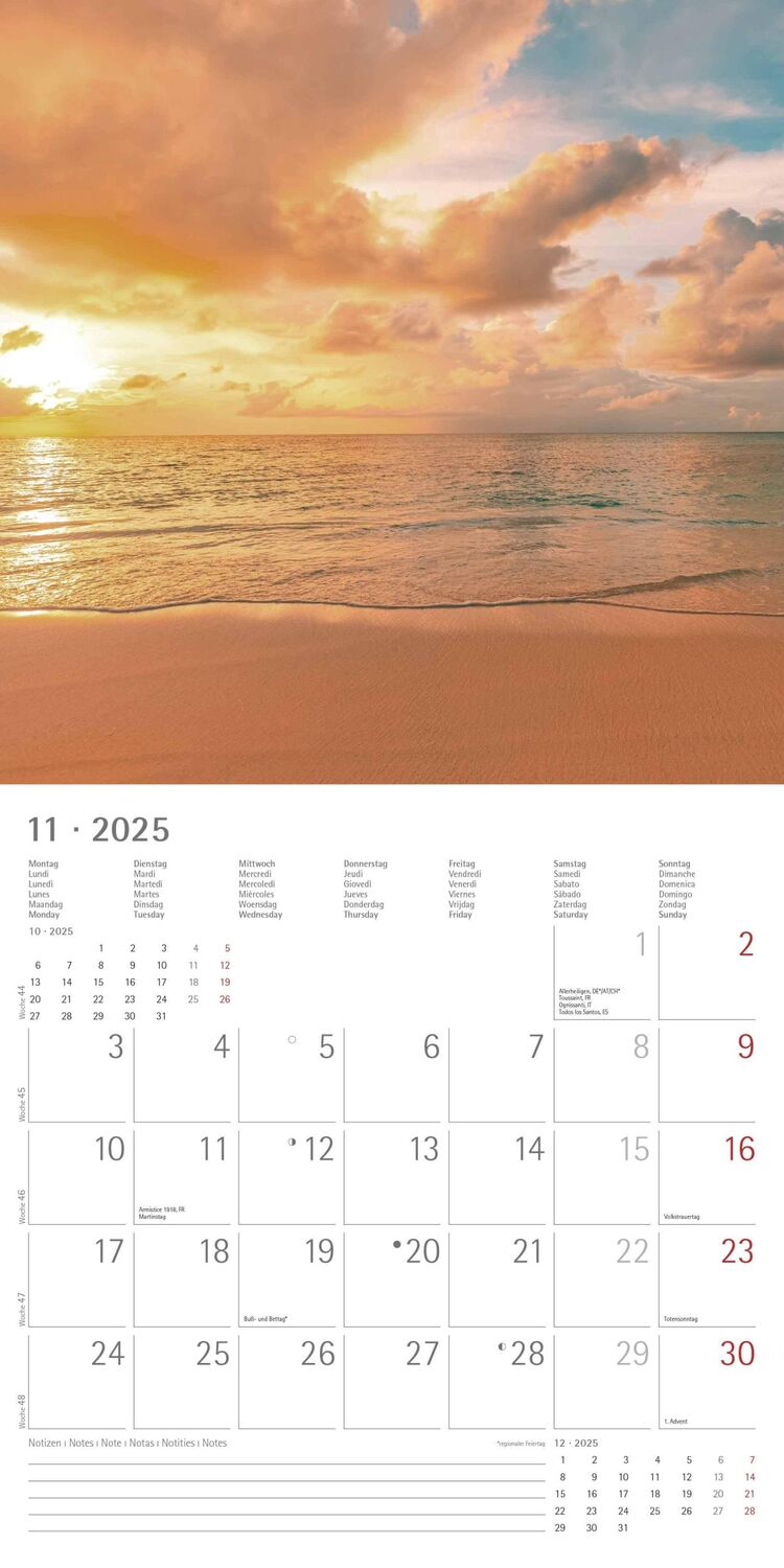 Bild: 4251732340902 | Sunny Moments 2025 - Broschürenkalender 30x30 cm (30x60 geöffnet) -...