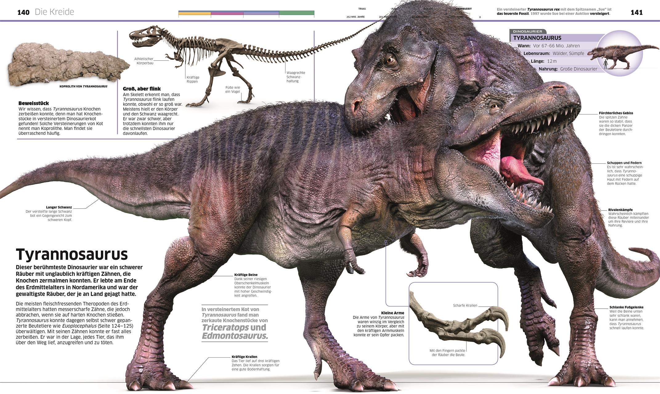 Bild: 9783831040063 | DK Wissen. Dinosaurier | Die Urzeitriesen in spektakulären Bildern