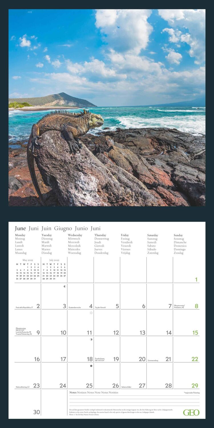 Bild: 4002725988621 | GEO Amazing Nature 2025 - Wand-Kalender - Broschüren-Kalender -...