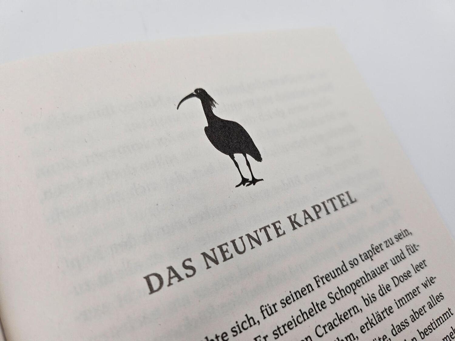 Bild: 9783492072229 | Ein Vogel namens Schopenhauer | Tom Diesbrock | Buch | 336 S. | 2024