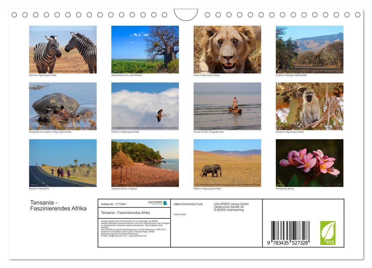 Bild: 9783435527328 | Tansania - Faszinierendes Afrika (Wandkalender 2025 DIN A4 quer),...