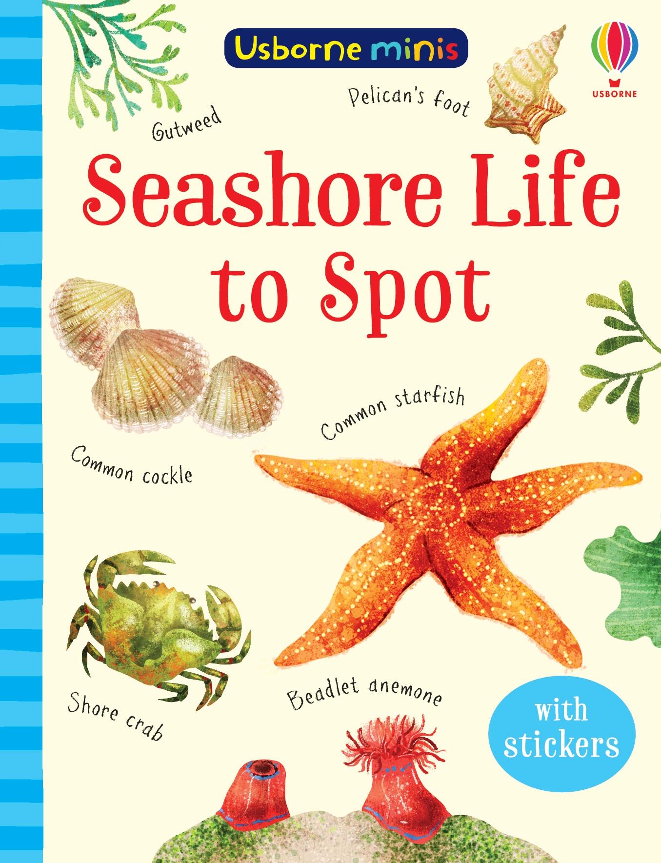 Cover: 9781474974981 | Seashore Life to Spot | Sam Smith | Taschenbuch | Englisch | 2021