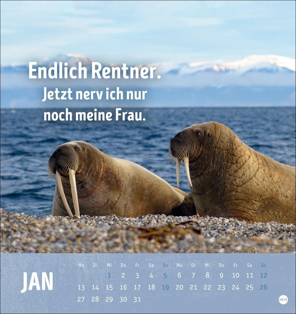 Bild: 9783756407187 | Alt! Aber gut drauf Postkartenkalender 2025 - Der tierische...