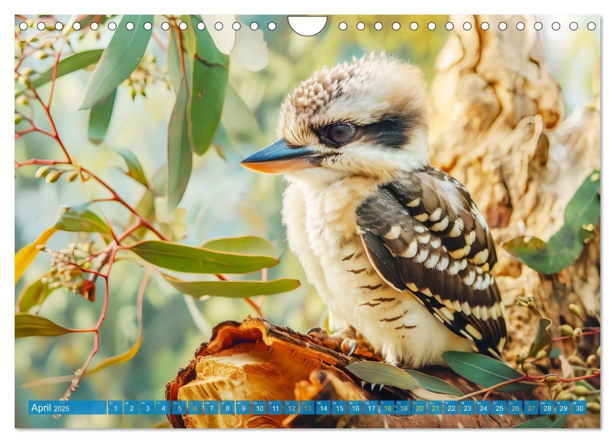 Bild: 9783383777875 | Der Kookaburra - Im australischen Busch mit dem lachenden Hans...