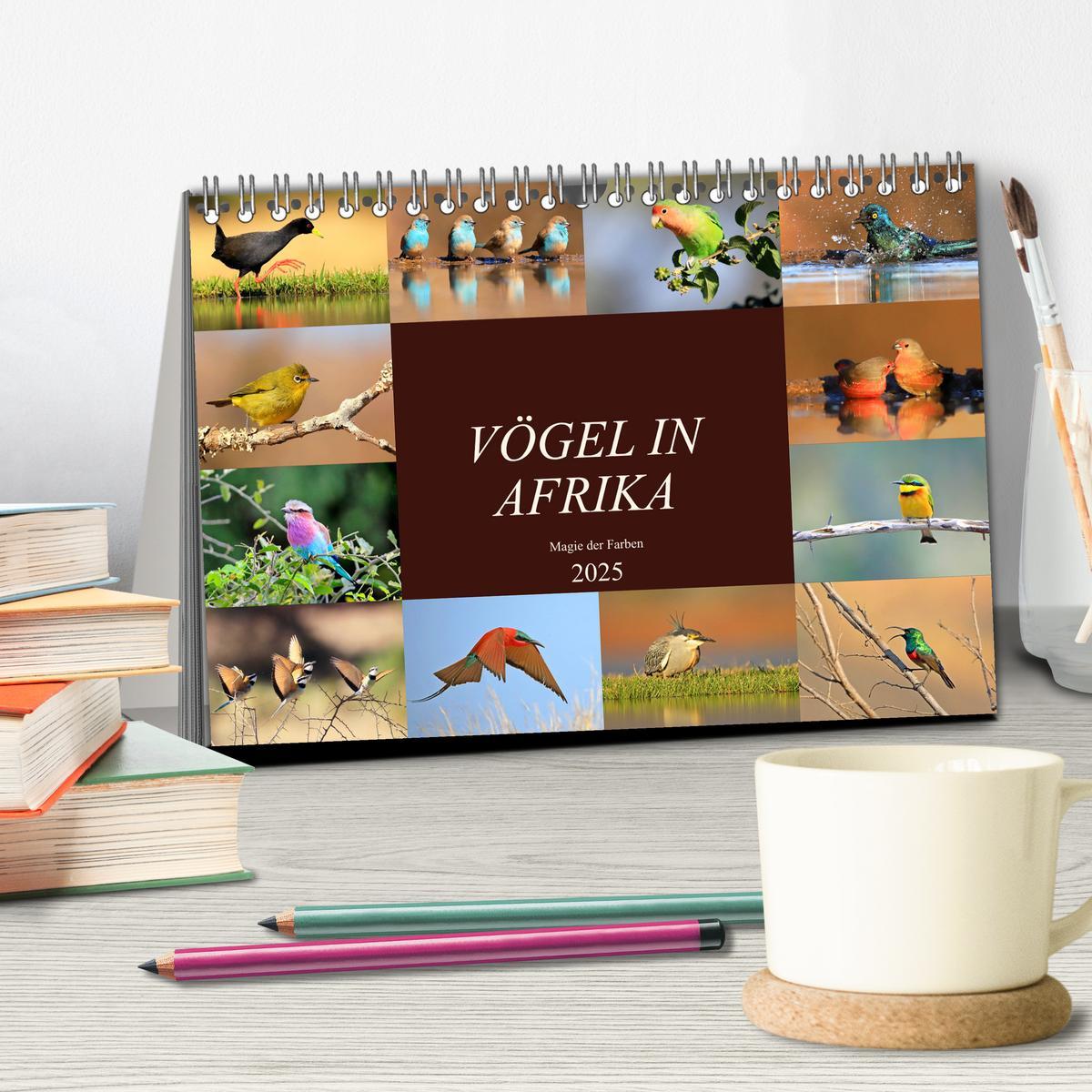 Bild: 9783435696949 | Vögel in Afrika - Magie der Farben (Tischkalender 2025 DIN A5...