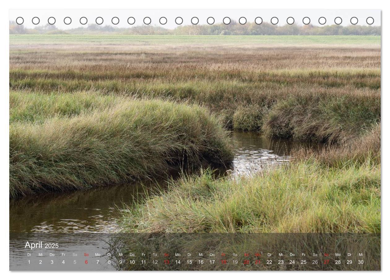 Bild: 9783435514793 | Texel - Meine Insel (Tischkalender 2025 DIN A5 quer), CALVENDO...