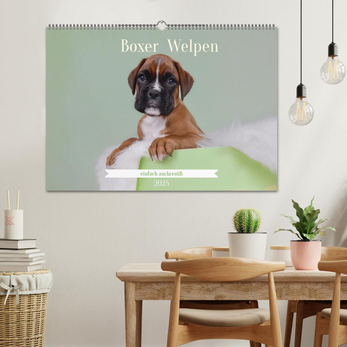 Bild: 9783457226179 | Boxer Welpen einfach zuckersüß (Wandkalender 2025 DIN A2 quer),...