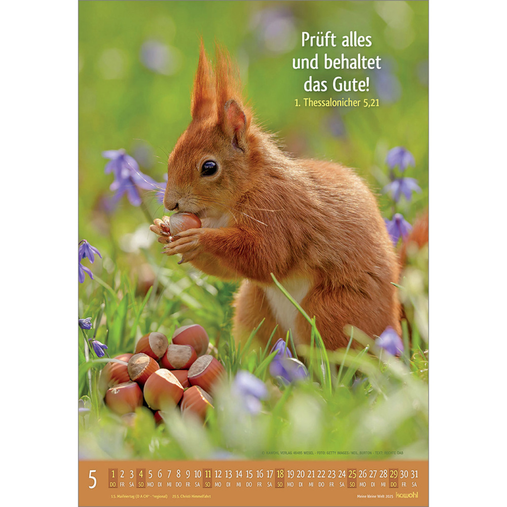 Bild: 9783754845059 | Meine kleine Welt 2025 | Tierkalender mit Bibelworten | Kalender