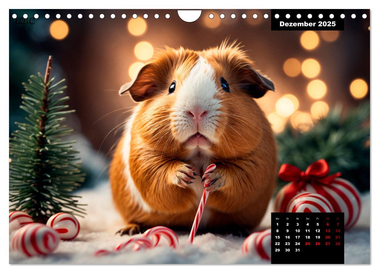 Bild: 9783435011865 | Meerschweinchen mal anders! (Wandkalender 2025 DIN A4 quer),...