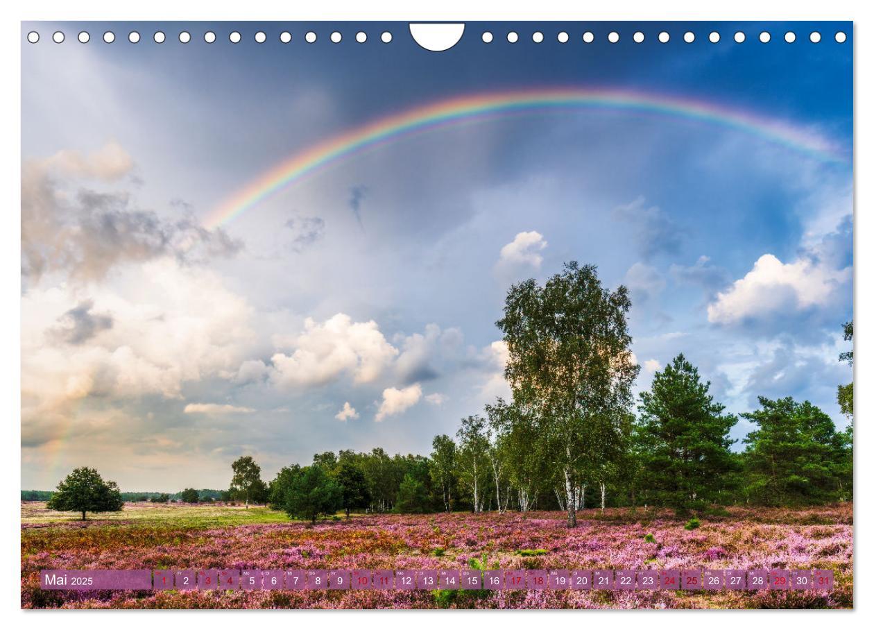 Bild: 9783383960413 | Romantische Heideblüte (Wandkalender 2025 DIN A4 quer), CALVENDO...