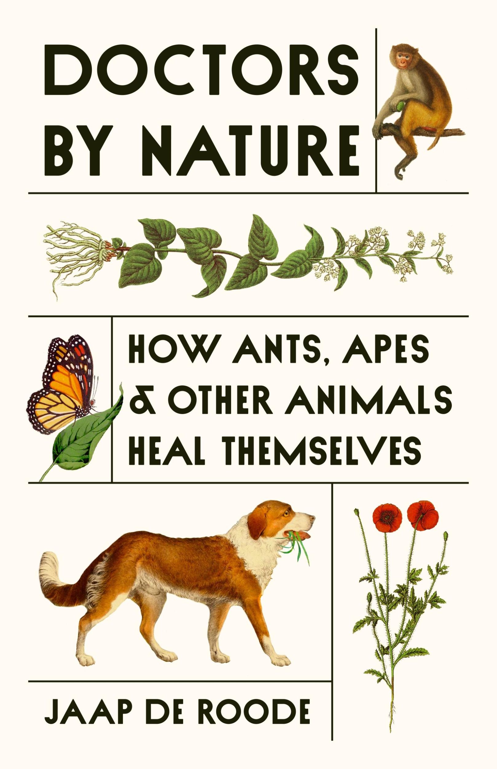 Cover: 9780691239248 | Doctors by Nature | How Ants, Apes, and Other Animals Heal Themselves