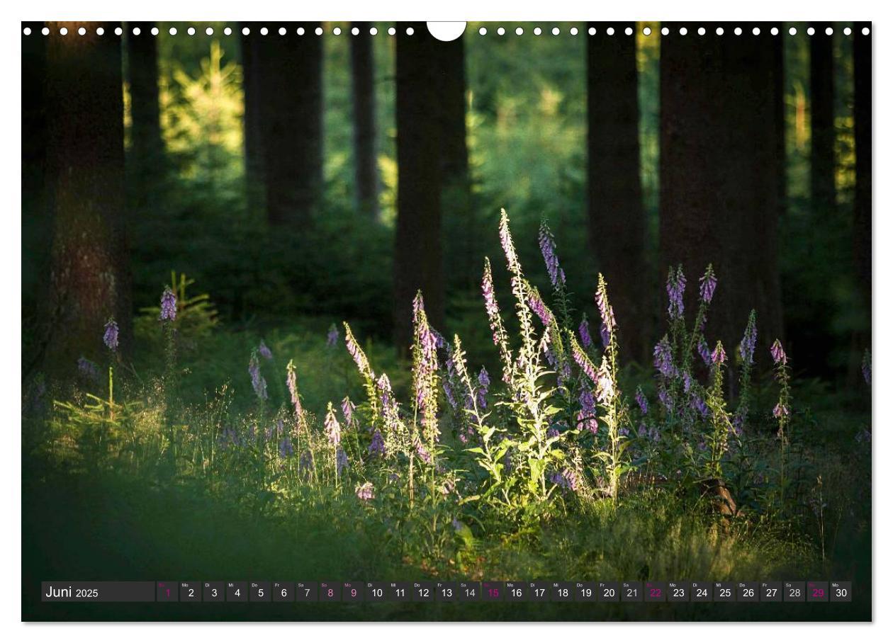 Bild: 9783435579037 | Unterwegs im Hunsrück (Wandkalender 2025 DIN A3 quer), CALVENDO...