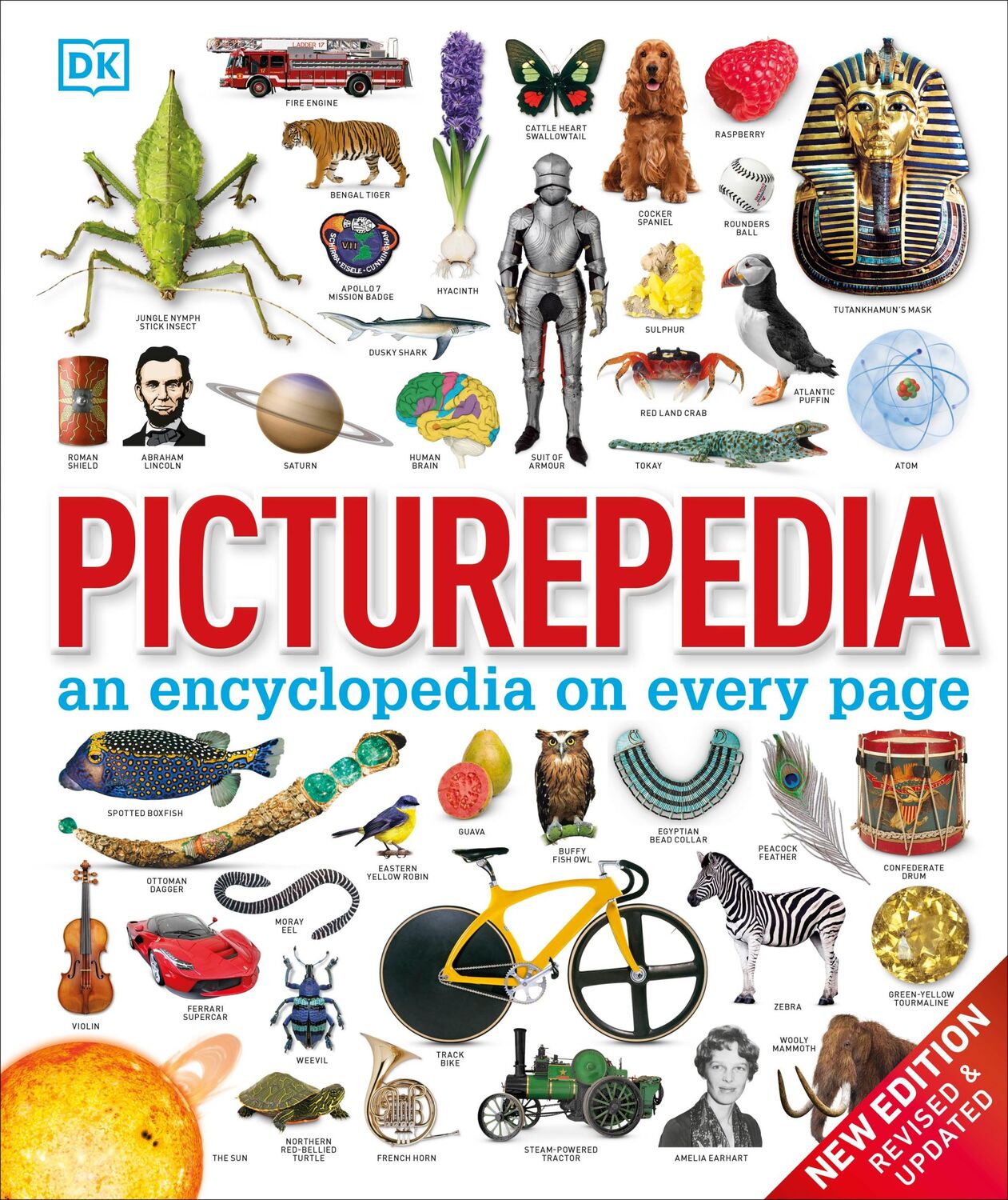 Cover: 9780241426371 | Picturepedia | an encyclopedia on every page | DK | Buch | 368 S.