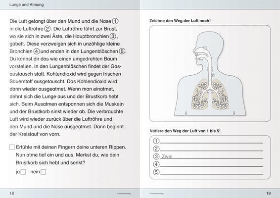 Bild: 9783939293385 | Ich kenne meinen Körper - 3 Hefte im Kombi | Katrin Langhans | Buch